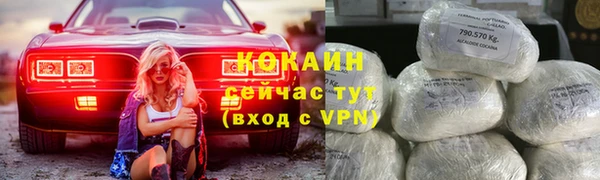 индика Богданович